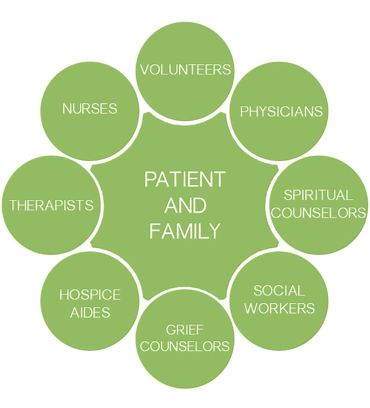 Large circle labeled “Patient and Family” surrounded by smaller circles labeled with the roles contributing to the support of the “Patient and Family”